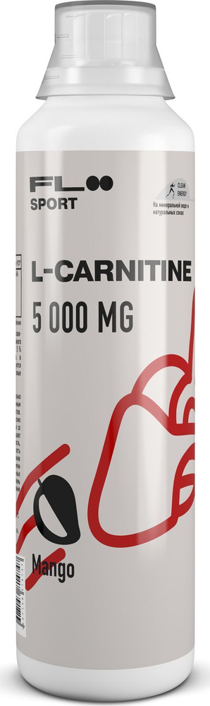 Карнитин Floo Sport L-Carnitine 5000 Mango, 500 мл #1