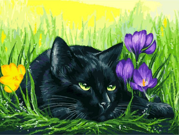 Картина по номерам Белоснежка "Кот и крокусы" (на картоне, 30х40 см)  #1
