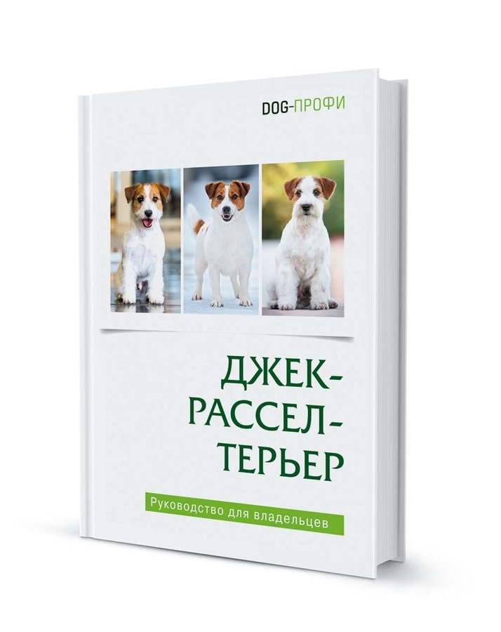 Джек Рассел терьер DOG-ПРОФИ | Ришина Наталия А. #1