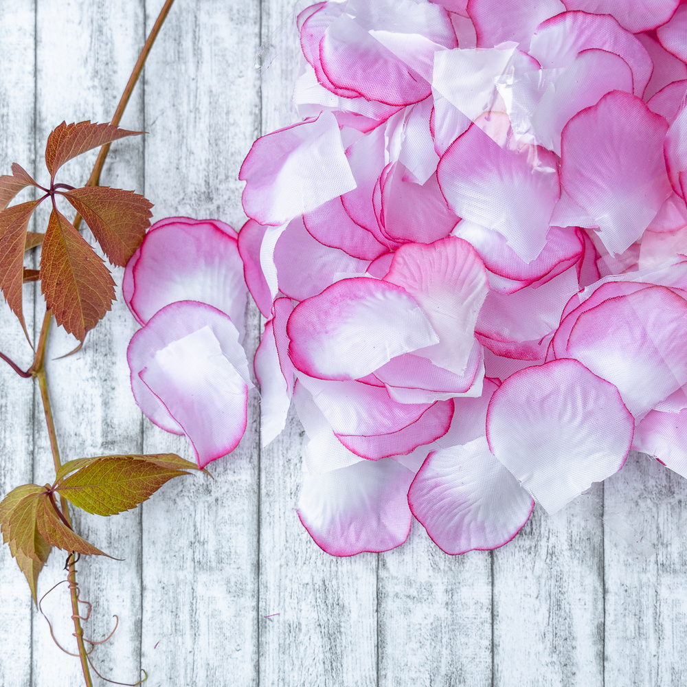 Искусственные лепестки роз в белой и розовой гамме, для осыпания молодоженов после ЗАГСа, фотосессии #1