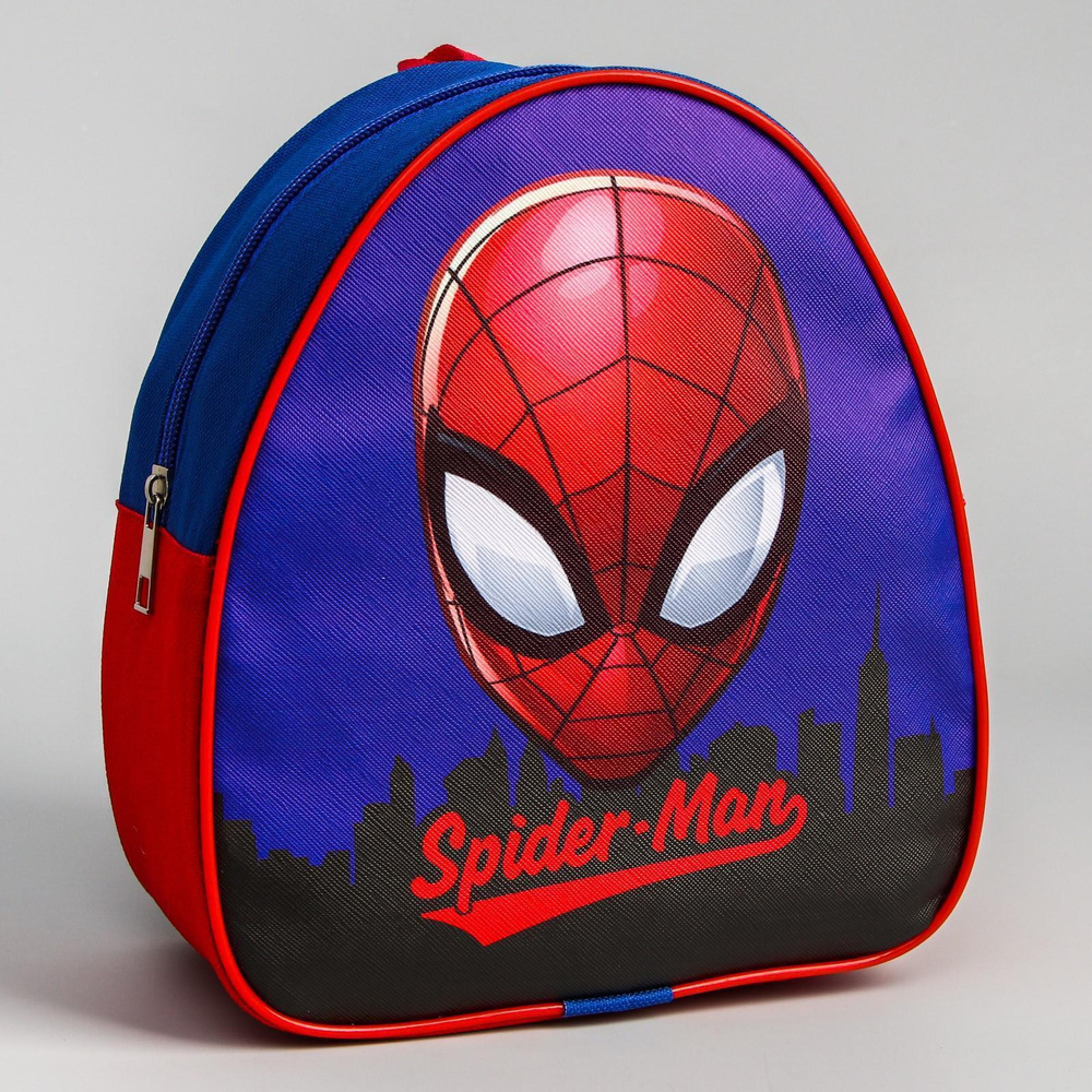 Рюкзак детский для мальчиков в садик, Человек паук Spider-Man, дошкольный? размер 23 х 21 х 10 см  #1