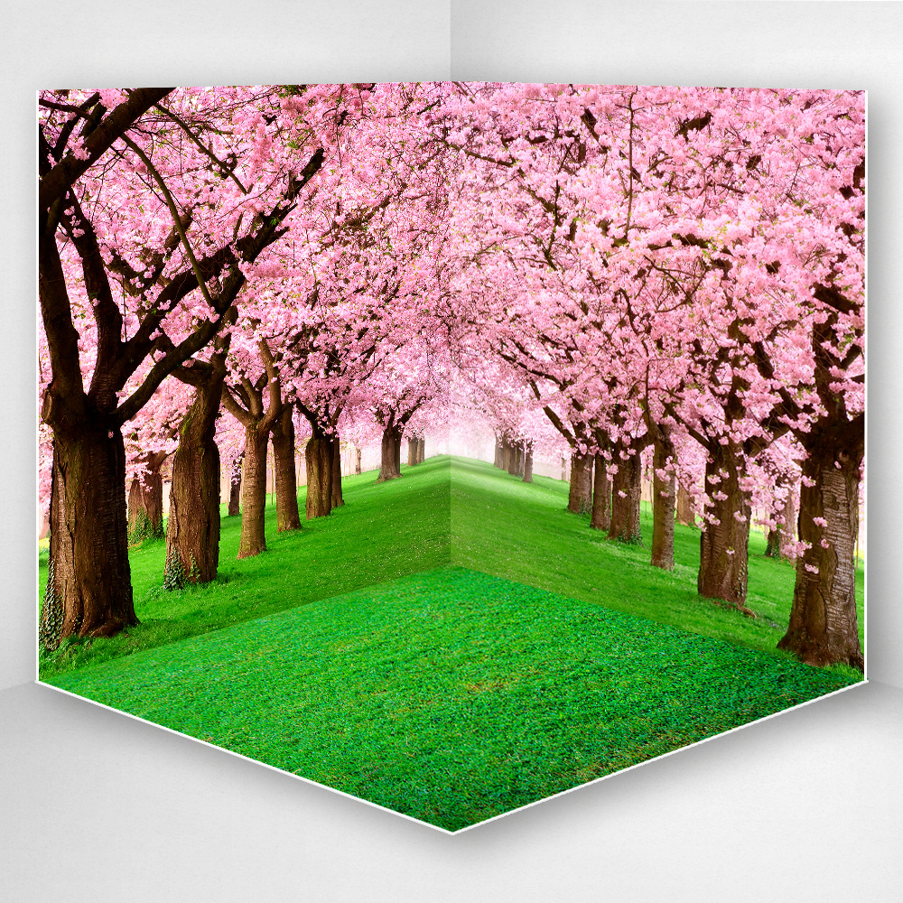 Фотофон 3D, 70x70x70 см, из фотопластика для предметной съемки, "Сакура в цвету", серия "Художественные" #1