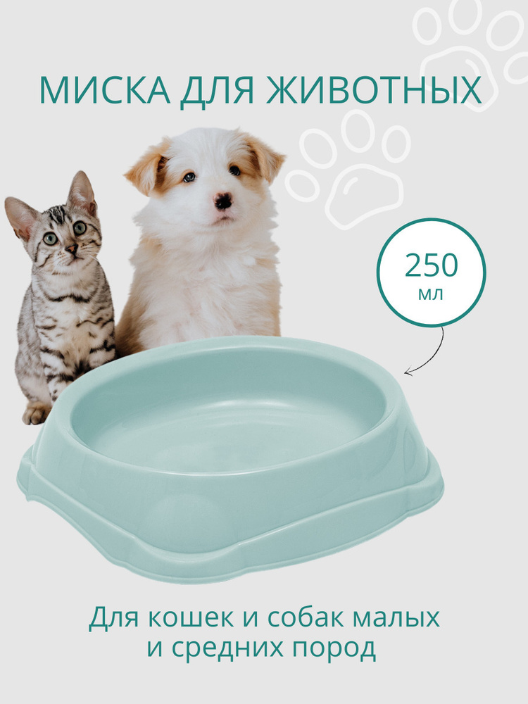 Миска для кошек, для собак DD Style / Пластиковая миска для воды и корма, ментоловый, 250 мл  #1