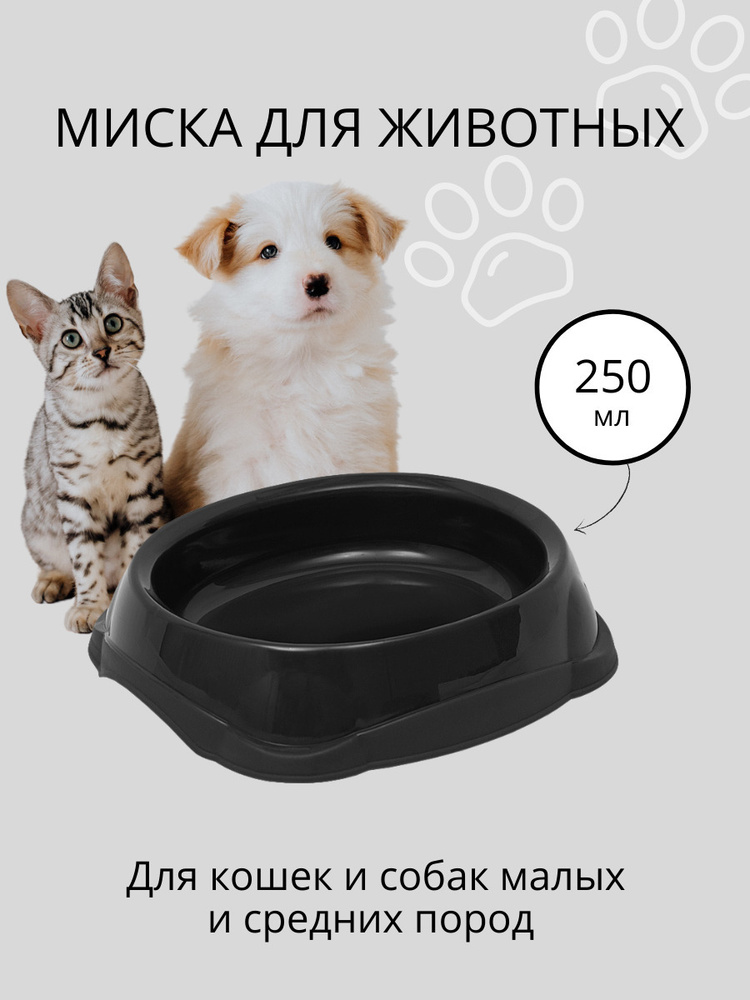 Миска для кошек, для собак DD Style / Пластиковая миска для воды и корма, черный, 250 мл  #1