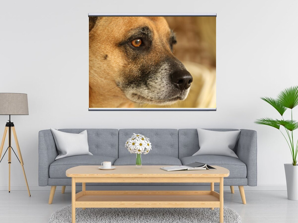Printstar Картина "собака, дворняга, гибрида", 120  х 90 см #1