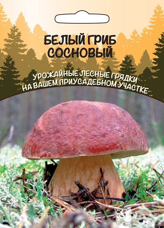 Мицелий Белый гриб сосновый, 30 мл #1