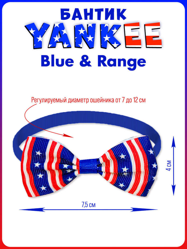 Бантик Yankee, Blue & Range #1