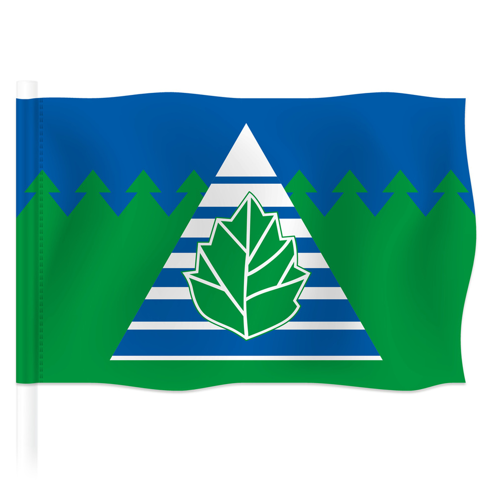 Флаг Троицка / Флаг города Троицк / 90x135 см. #1