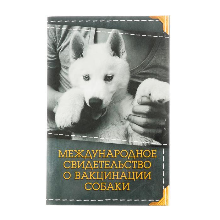 Ветеринарный паспорт, серый #1