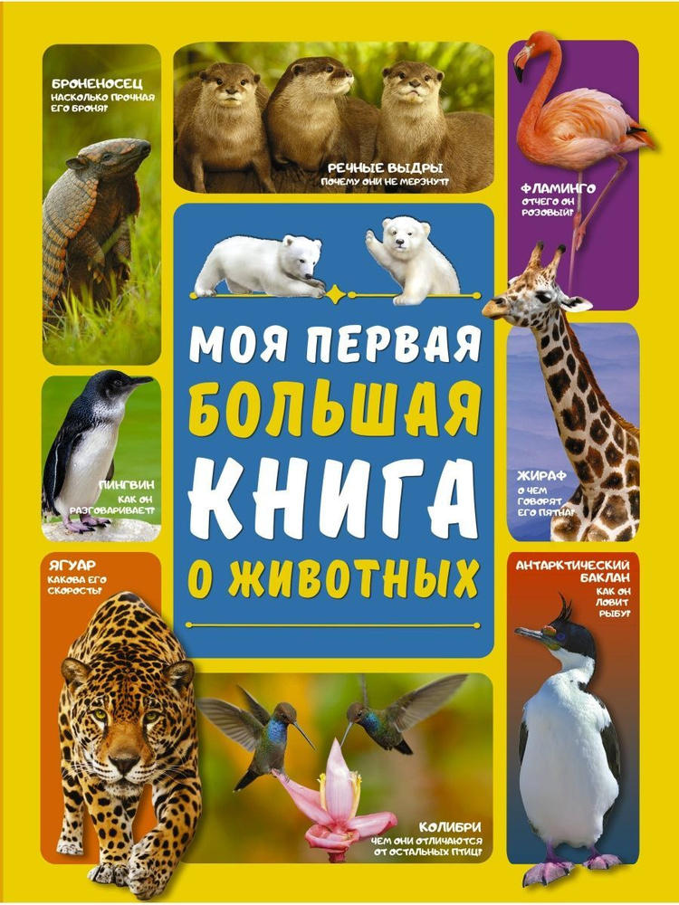 Моя первая большая книга о животных #1