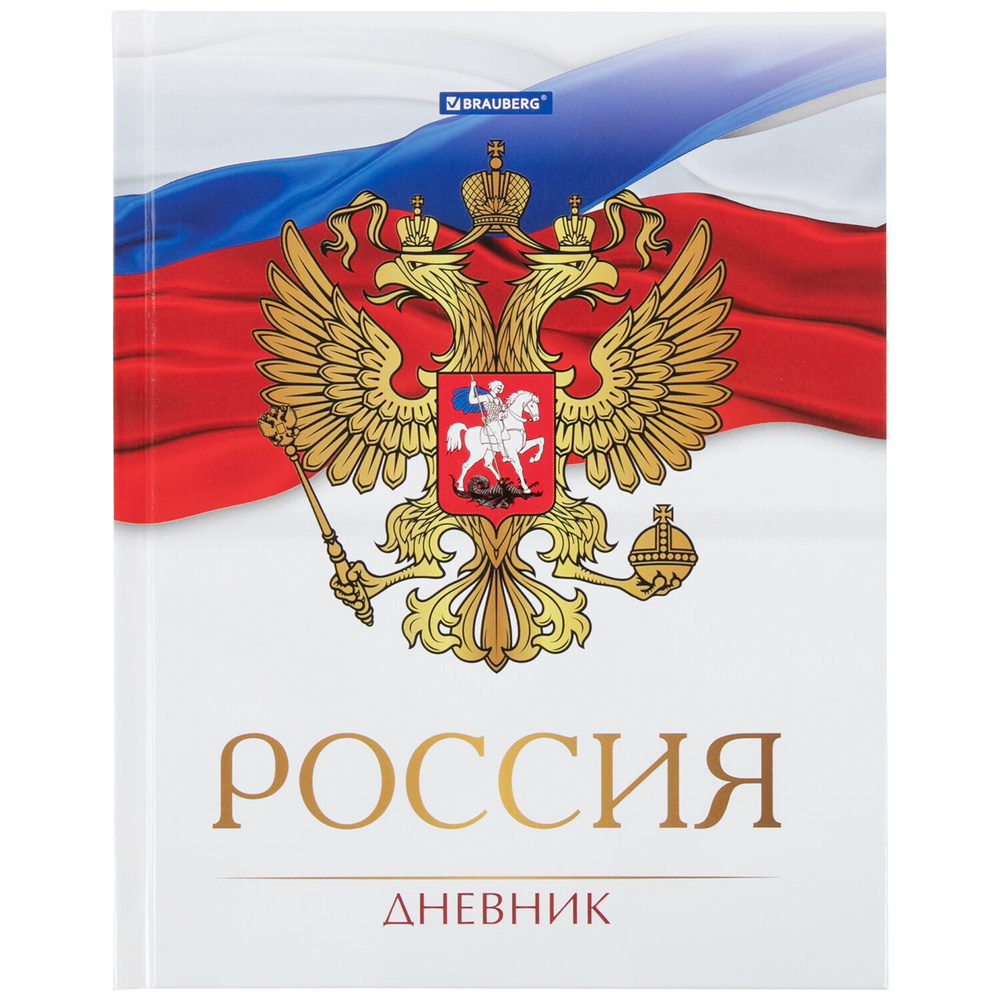 Дневник Brauberg 5-11 класс, 48 листов, твердый, с подсказом, "Символика 2" (106067)  #1