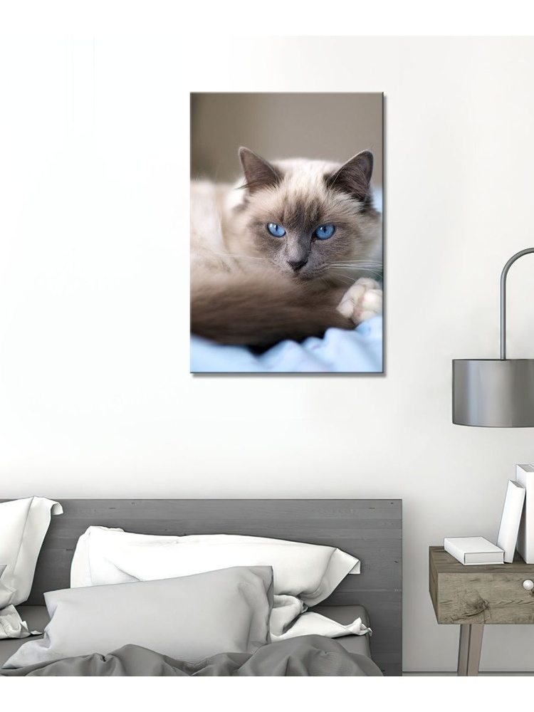 ХитАрт Картина "бирманская кошка 4", 40  х 30 см #1