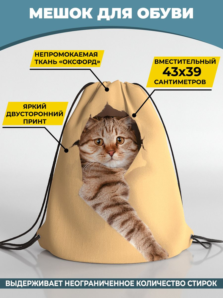 Мешок для сменной обуви Homepick 38х42м Cattiffany/913/ #1