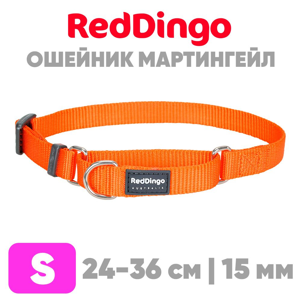 Ошейник мартингейл (полуудавка) для мелких и средних пород собак Red Dingo оранжевый  #1