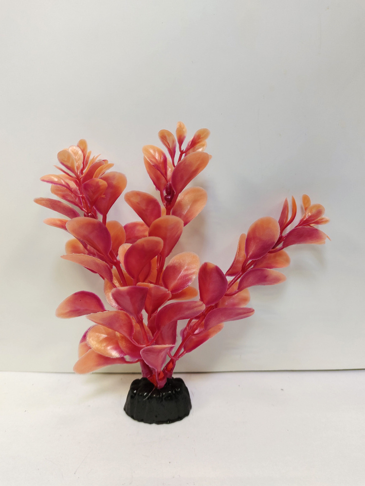 Растение пластиковое Людвигия красная перломутровая 10 см  #1