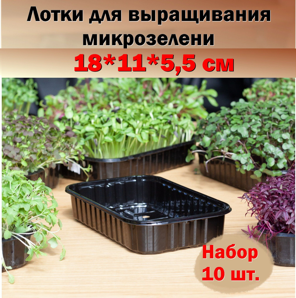 Лотки для выращивания свежей микрозелени 18*11*5,5см. набор 10 шт. черного цвета  #1