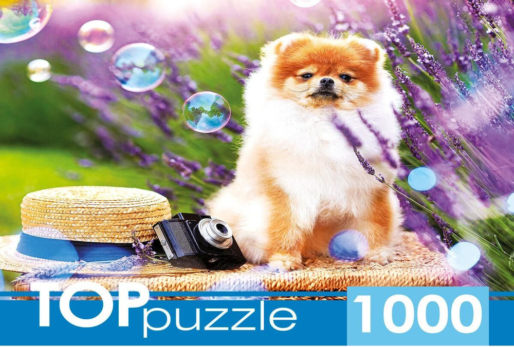 Пазл TOP Puzzle 1000 деталей: Шпиц в саду #1