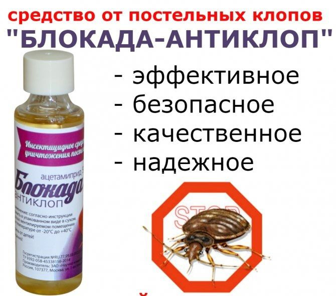 Жидкость/концентрат Блокада Антиклоп, средство от клопов, без запаха 1 шт  #1