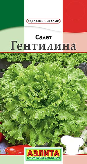 Салат "Гентилина" семена Аэлита зелень для дома, балкона, подоконника и огорода, 0,5 гр  #1