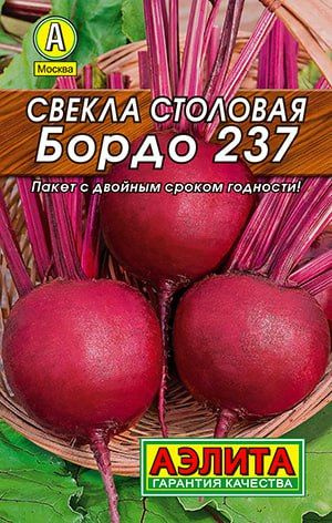 СВЕКЛА БОРДО 237. Семена. Вес 3 гр. Бескольцеватости, сочная, нежная, сладкая.  #1