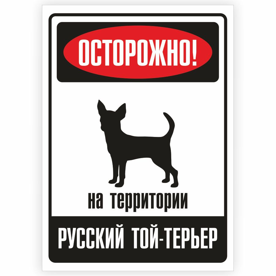 Табличка, металлическая, DANGER DOG, Осторожно! На территории Русский той-терьер, 18x25 см  #1