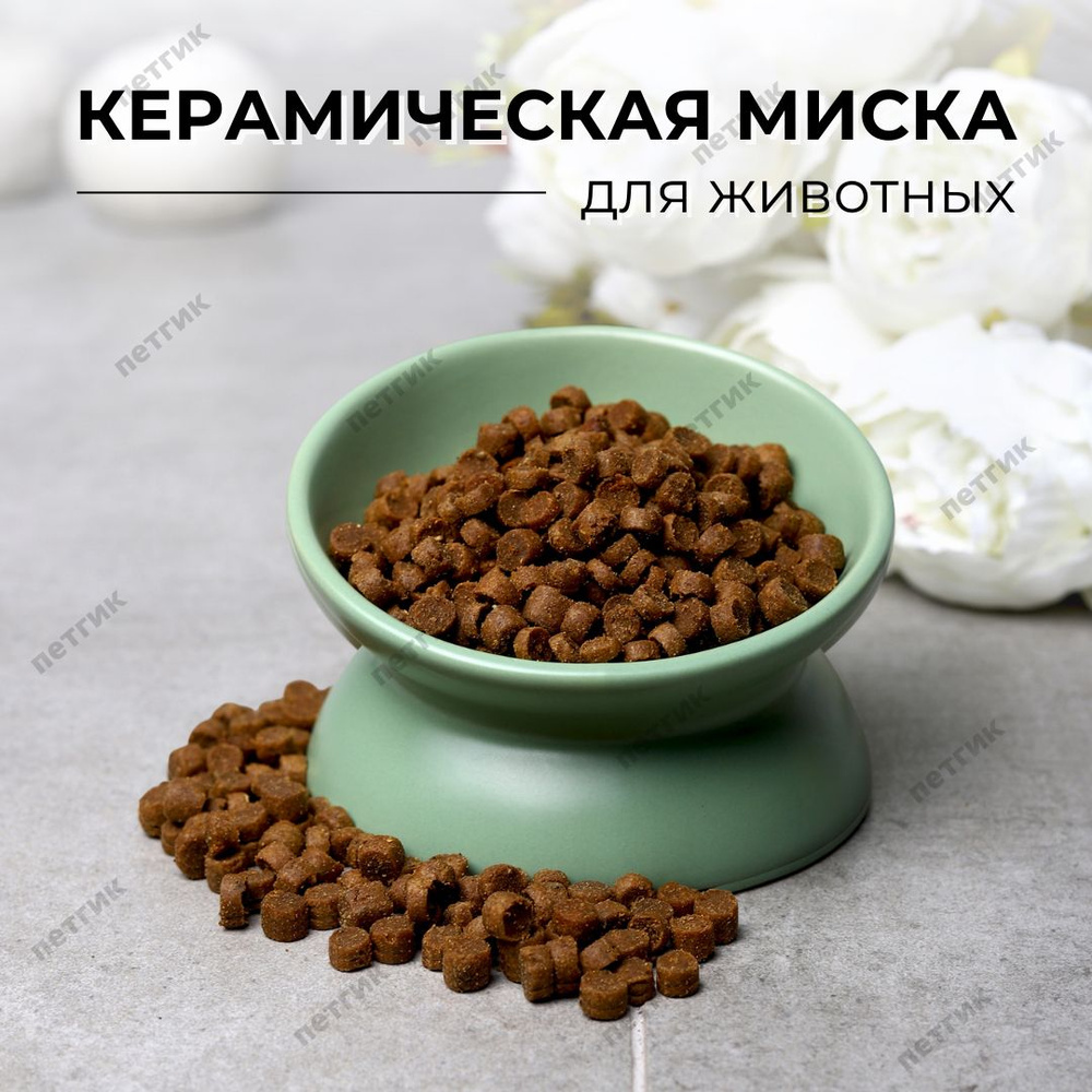 Миска для кошек и собак керамическая с наклоном одинарная (болотный)  #1