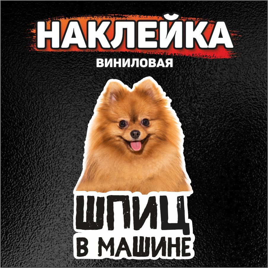 Наклейка на автомобиль, DANGER DOG, Померанский шпиц в машине - купить по  выгодным ценам в интернет-магазине OZON (852486405)