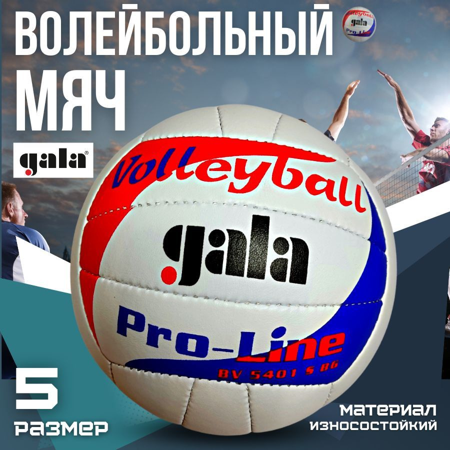 Мяч волейбольный gala Pro-Line BV 5401 #1