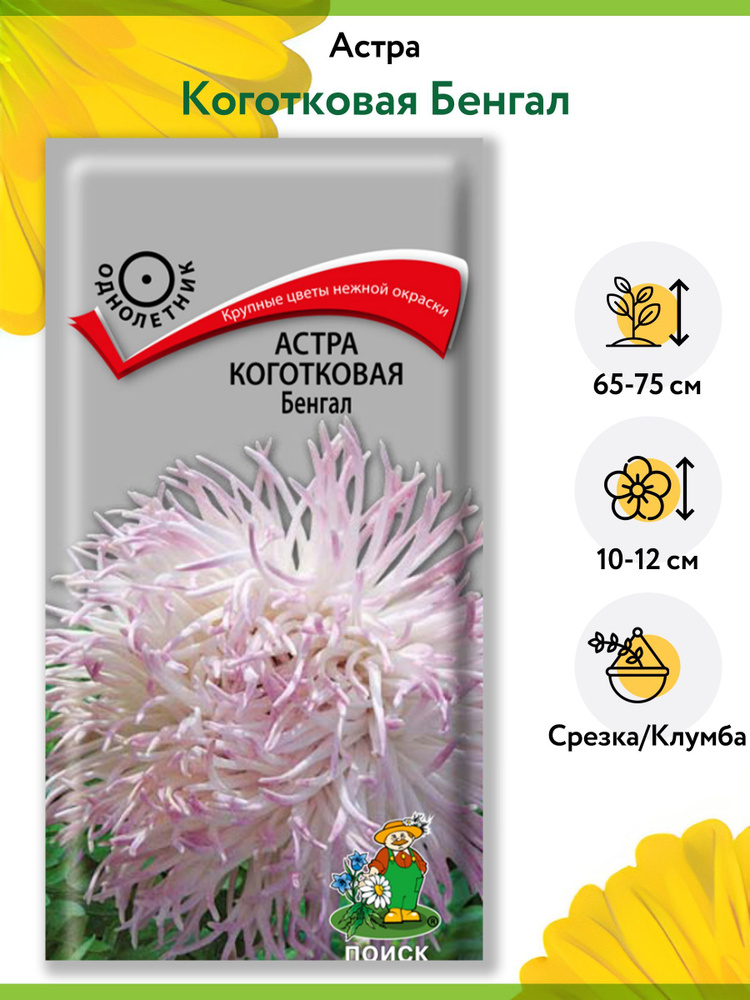 Астра Коготковая Бенгал (1 упаковка - 0,3 г). Семена однолетних цветов для сада, клумбы, срезки, букетов. #1