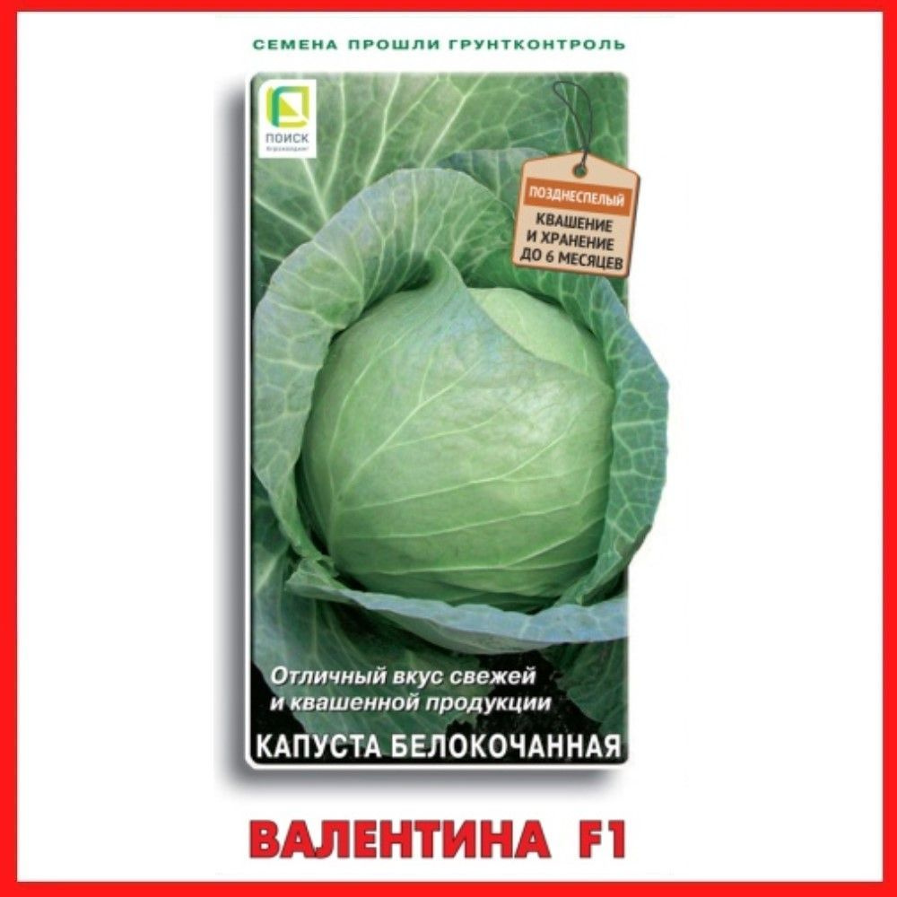 Семена Капуста белокочанная "Валентина F1" 0,2 гр, для дома, дачи и огорода, в открытый грунт, овощи #1