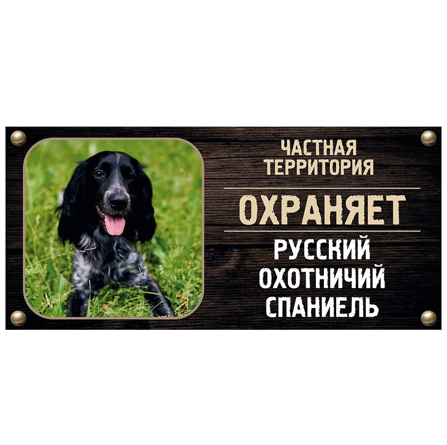 Табличка, Злая собака, Территорию охраняет Русский охотничий спаниель, на металлической основе, 30см #1