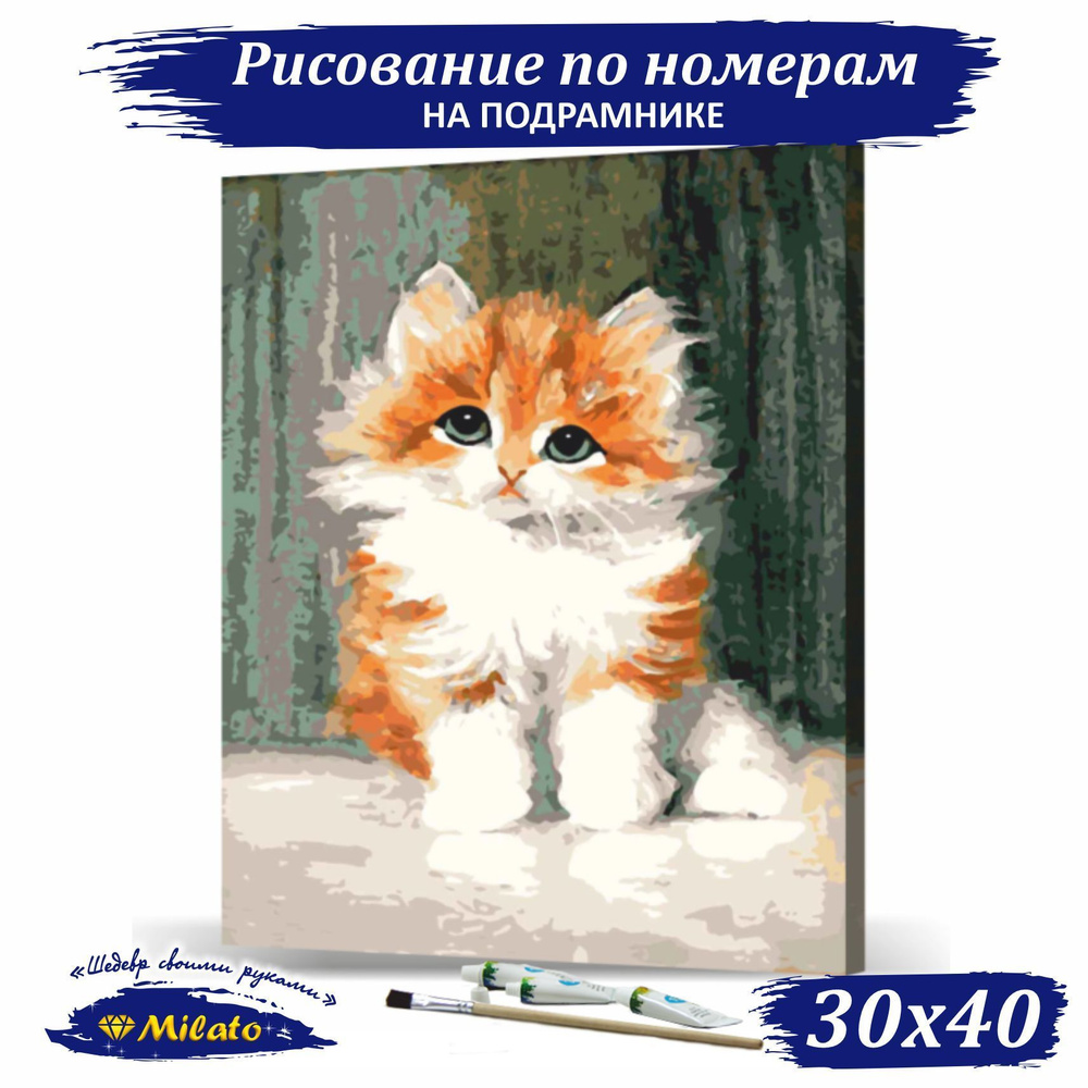 Картина по номерам на холсте на подрамнике 30х40 Рисунок по номерам RP3-031 "Рыжий котенок"  #1