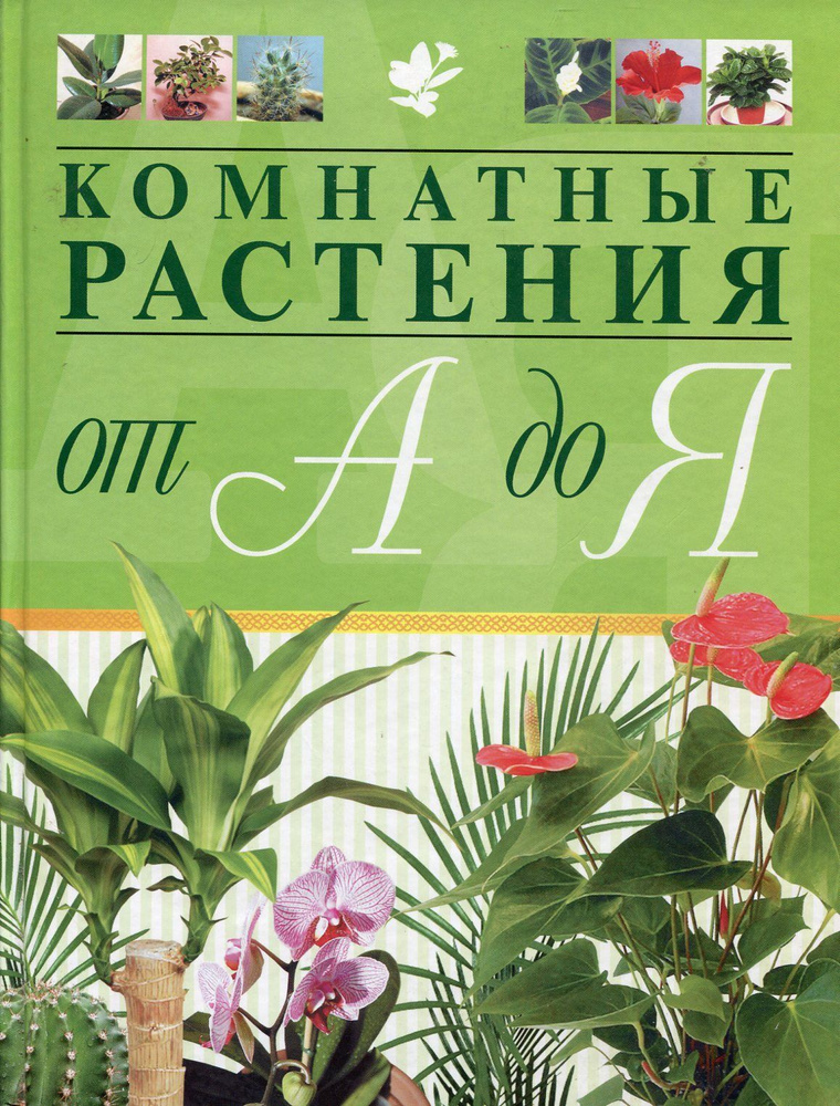 Комнатные растения от А до Я - купить с доставкой по выгодным ценам в ...