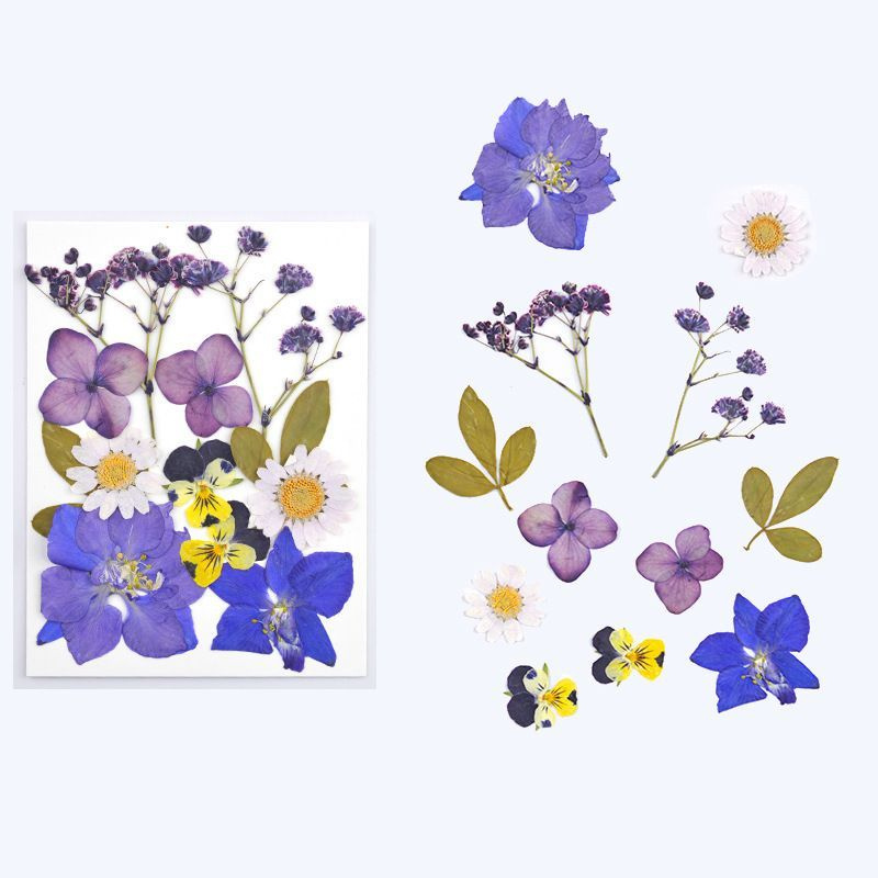 Набор натуральных сухоцветов для творчества, декора, фиолетовый, 12 шт. 110*85 мм / сухоцветы для изготовления #1