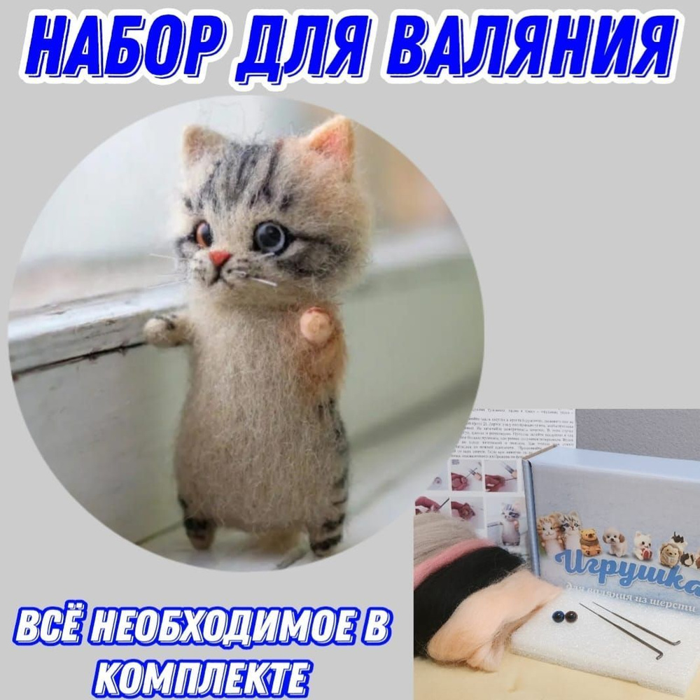 Чехол из войлока