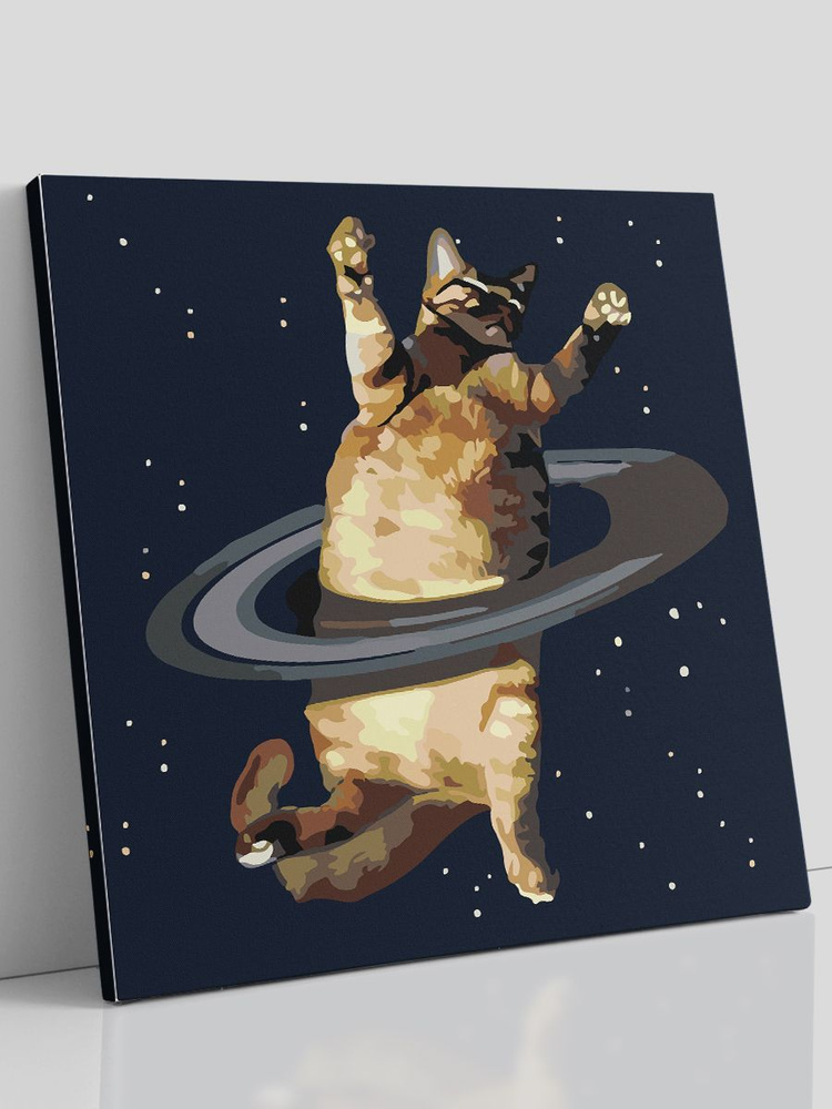 Картина по номерам на холсте с подрамником, "Мем кот", 40х40 см  #1