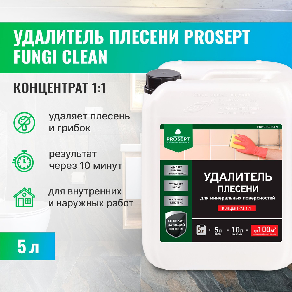 Удалитель плесени, антиплесень PROSEPT FUNGI CLEAN концентрат 1:1 5 л  #1