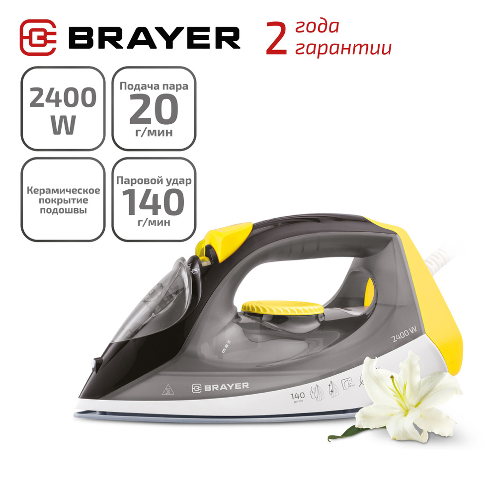 Утюг BRAYER BR4003GY #1