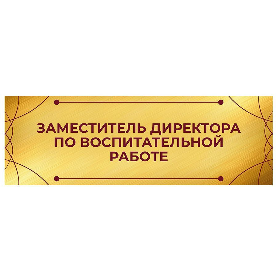 Табличка, на дверь, Заместитель директора по воспитательной работе, для школы, 30см х 10см  #1