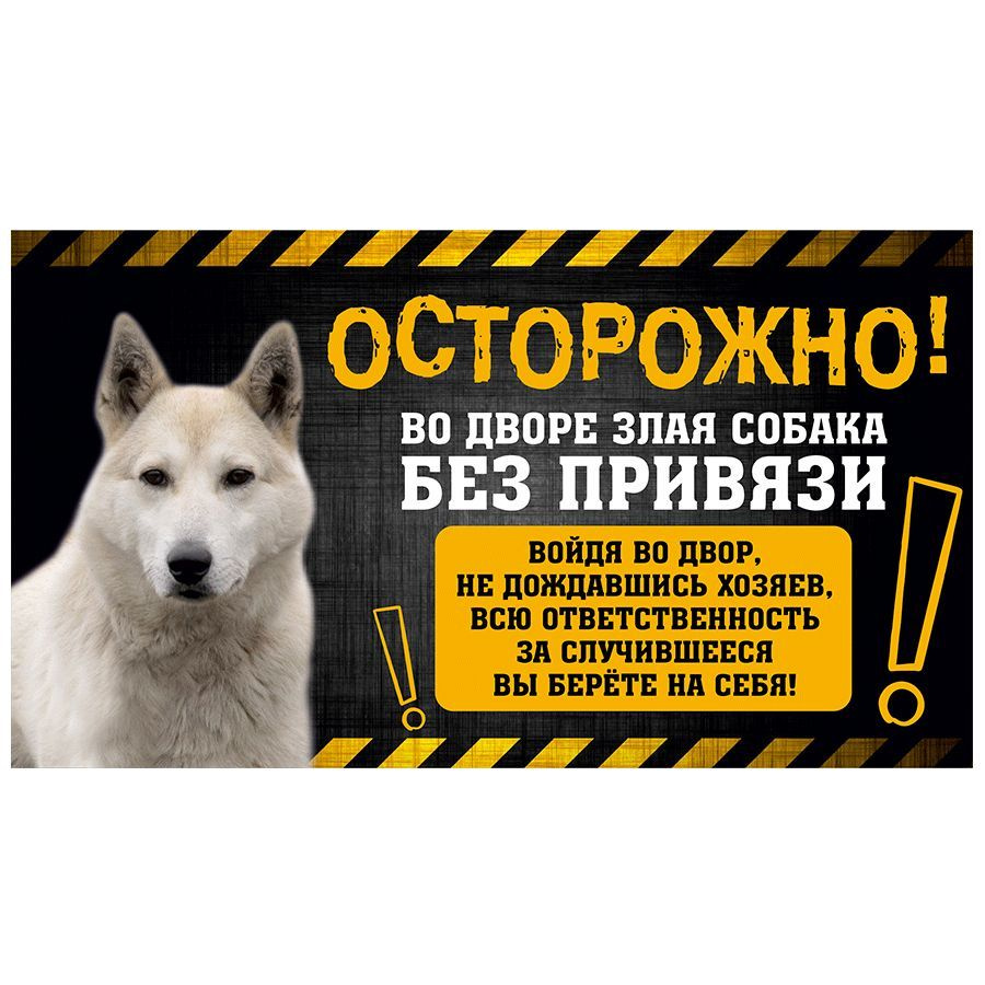 Табличка, с юмором, прикол, DANGER DOG, Осторожно! Во дворе собака без привязи, Западносибирская лайка, #1