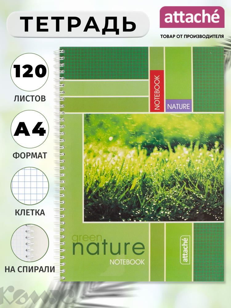 Тетрадь общая Attache, 120 листов в клетку #1