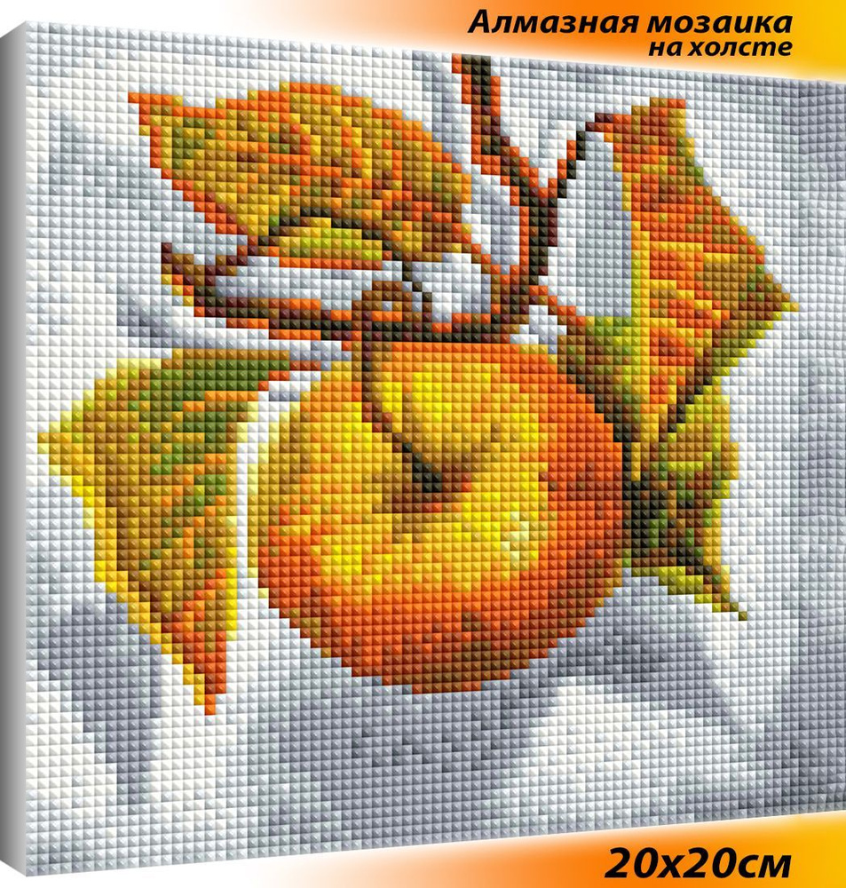 Алмазная мозаика на подрамнике 20х20 полная выкладка / фрукты / Яблоко  #1