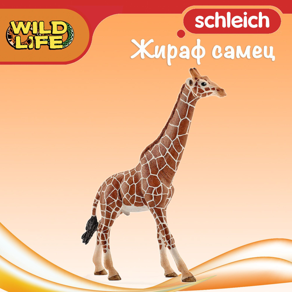 Фигурка "Жираф самец" Schleich Wild Life/ для детей от 3 лет/ Шляйх 14749  #1