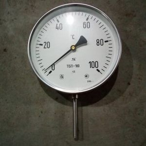 Термометр биметаллический показывающий ТБП160/400Х/Т-(0...+100)/шток 65 мм  #1