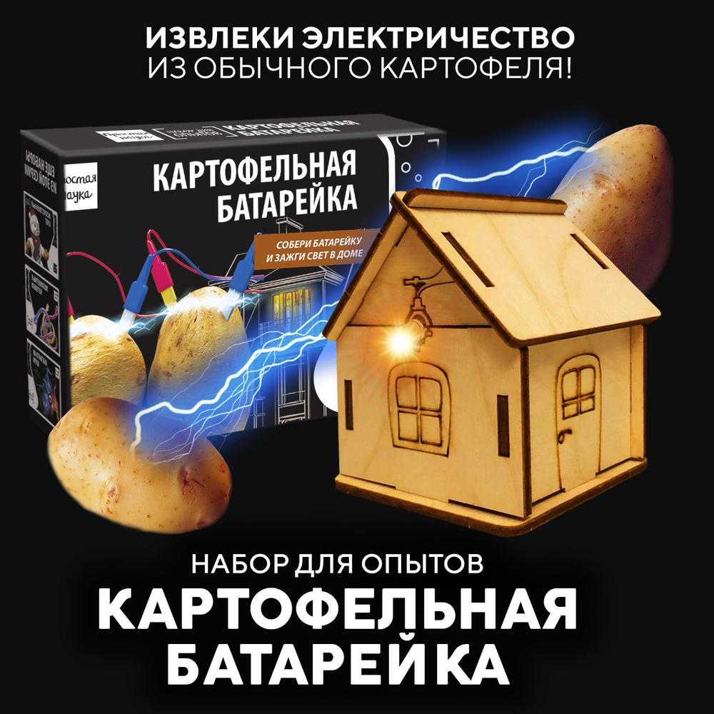 Картофельная батарейка набор для опытов для детей Простая наука BBOX/ Развивающий подарок химические #1