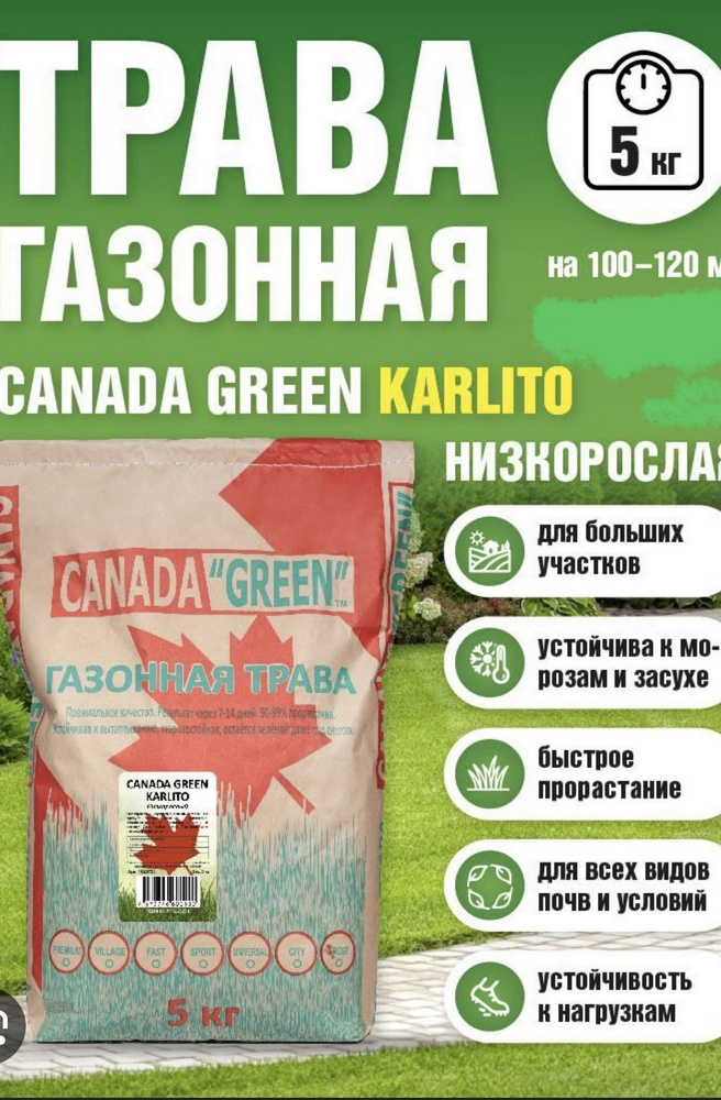 Canada Green Семена #1