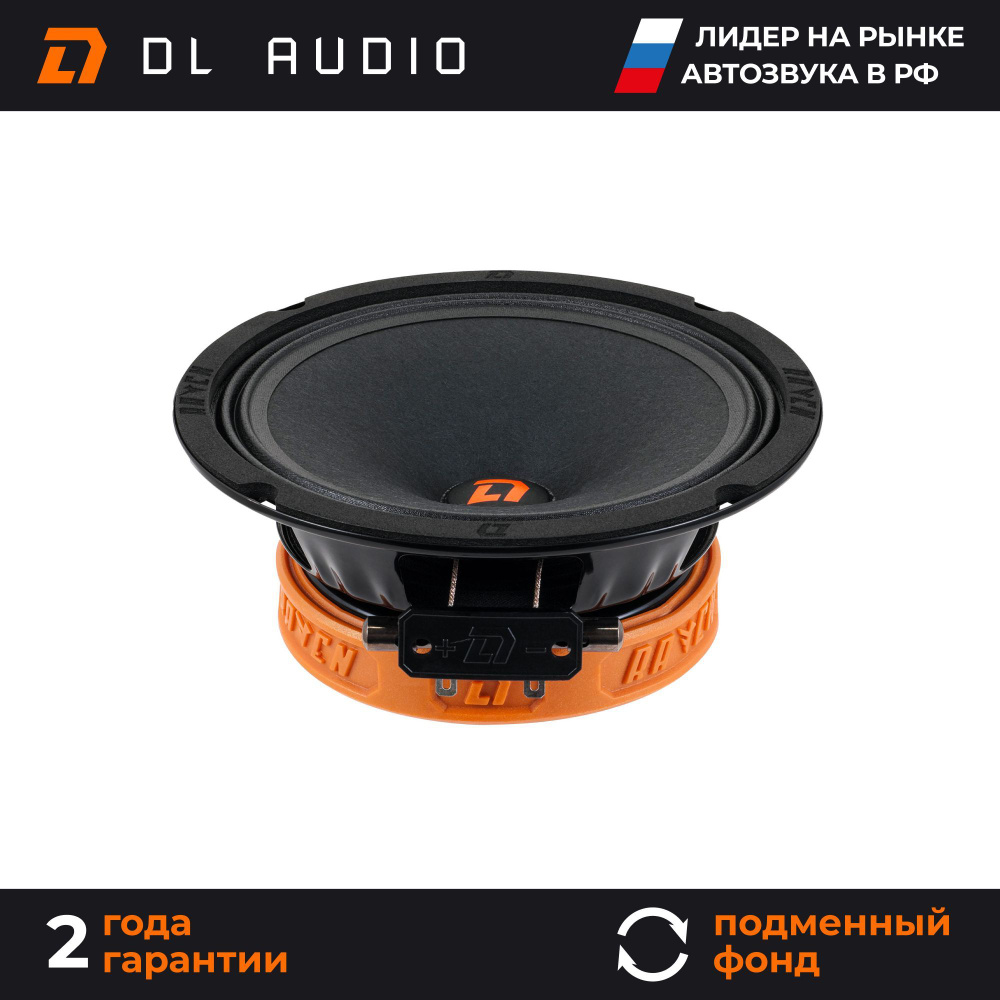 Динамики автомобильные 16 см DL Audio Raven 165 V.2 пара - купить по  выгодной цене в интернет-магазине OZON (840567538)