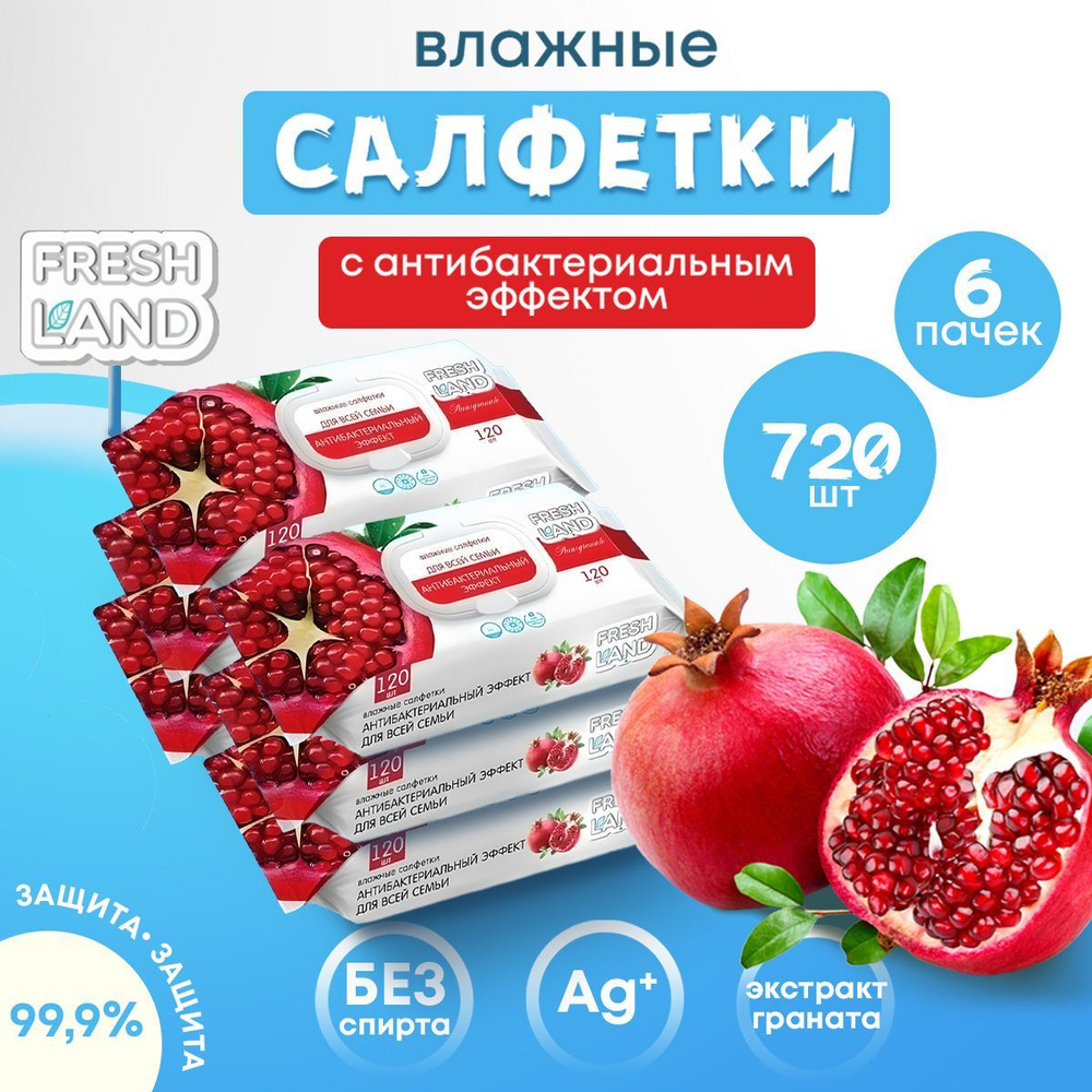 FRESHLAND Влажные салфетки антибактериальные Гранат 6х120 шт  #1