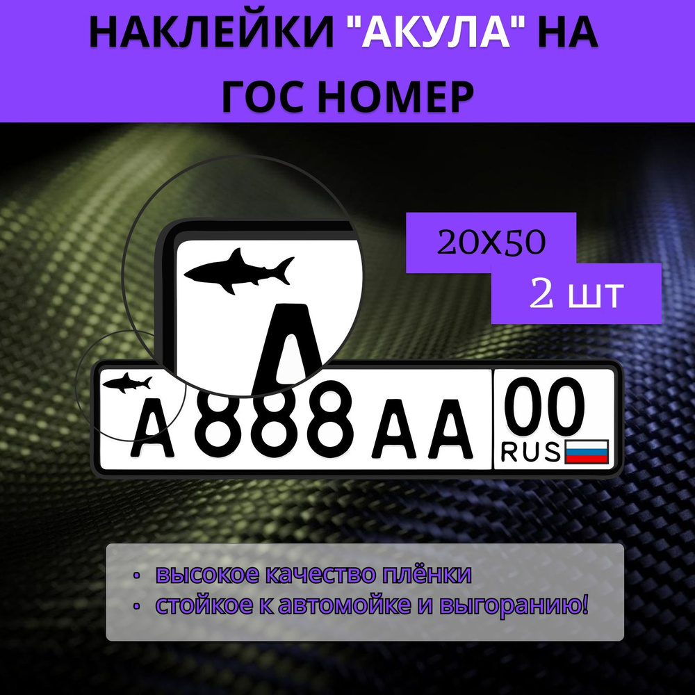 Наклейка на гос номер "Акула" - 20х50 #1