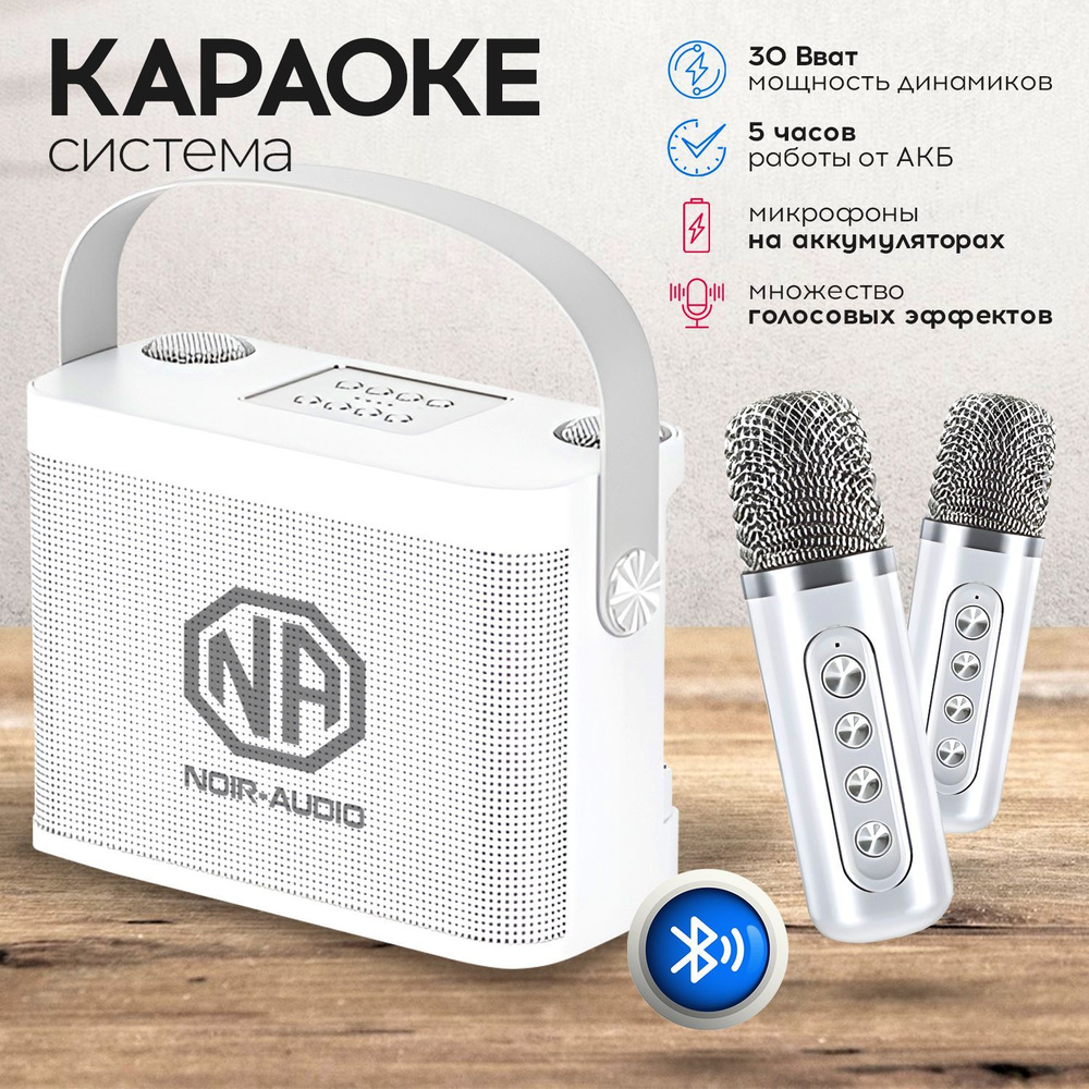 Караоке система NOIR-audio K-5 с двумя беспроводными микрофонами, с функцией Bluetooth и USB разъемом #1